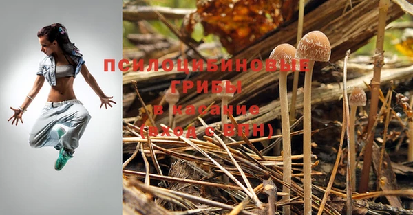 твердый Красноперекопск