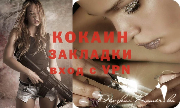 стаф Коряжма