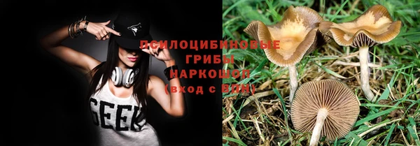 мяу мяу мука Корсаков